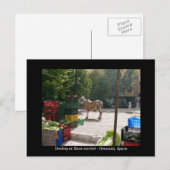Donkey am Baza-Markt - Granada, Spanien Postkarte (Vorne/Hinten)