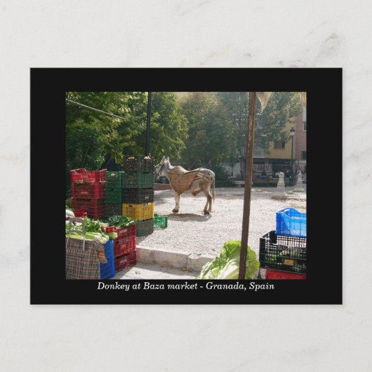 Donkey am Baza-Markt - Granada, Spanien Postkarte (Vorderseite)
