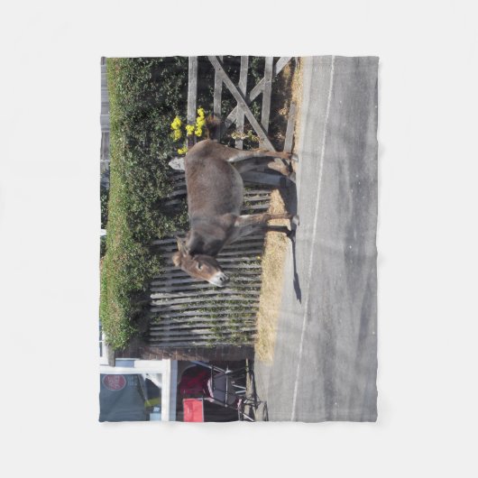 Donkey am Tor Fleecedecke (Vorderseite)