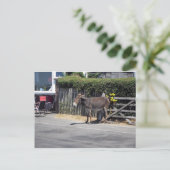 Donkey am Tor Postkarte (Stehend Vorderseite)