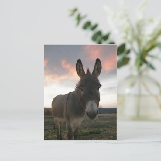 Donkey Art Postkarte (Stehend Vorderseite)