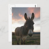 Donkey Art Postkarte (Vorne/Hinten)