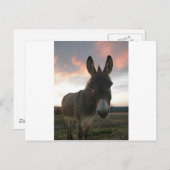 Donkey Art Postkarte (Vorne/Hinten)