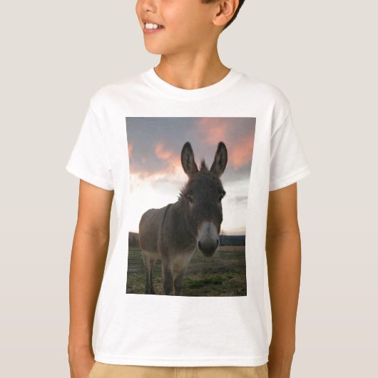 Donkey Art T-Shirt (Vorderseite)