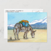 Donkey auf Hochplateau, Südamerika Postkarte (Vorne/Hinten)