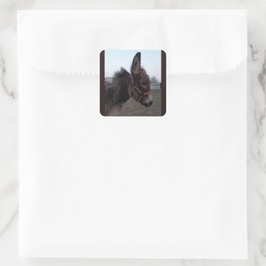Donkey-Aufkleber Quadratischer Aufkleber (Tasche)
