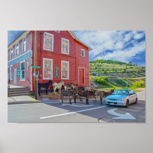 Donkey Begrüßungsausschuss, Cripple Creek Colorado Poster (Vorne)