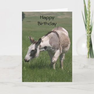Donkey Birthday Card Karte