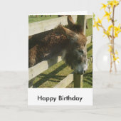 Donkey Birthday Greetings Card Karte (Gelbe Blume)