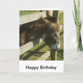 Donkey Birthday Greetings Card Karte