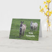 Donkey Brown Tan Animal Foto Beileid Karte (Gelbe Blume)