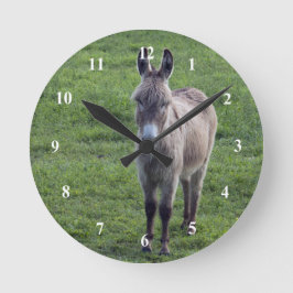 Donkey Brown Tan Animal Foto Runde Wanduhr