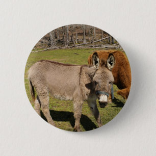 Donkey Button