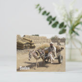 Donkey Cart im Sudan Postkarte (Stehend Vorderseite)