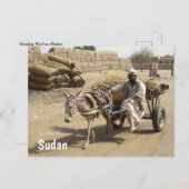 Donkey Cart im Sudan Postkarte (Vorne/Hinten)