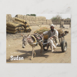 Donkey Cart im Sudan Postkarte