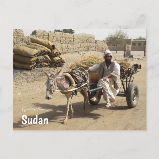Donkey Cart im Sudan Postkarte (Vorderseite)