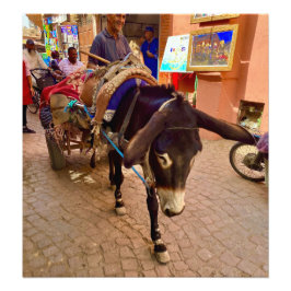Donkey & Cart in der Medina - Marrakesch, Marokko Fotodruck