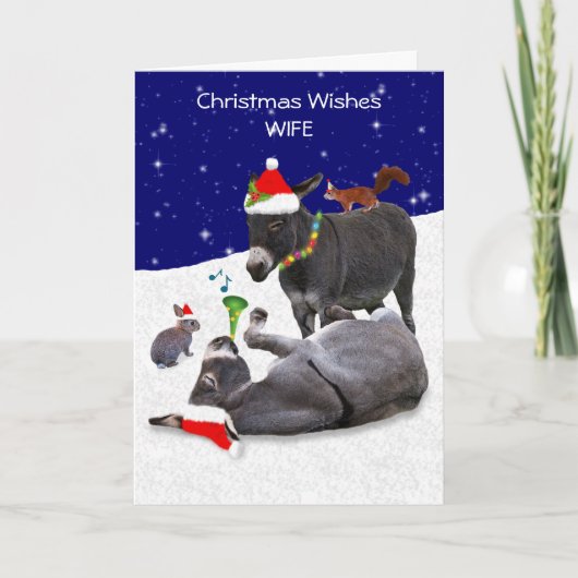 Donkey Daze Card (Ehefrau) Karte (Vorderseite)