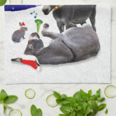 Donkey Daze Küchentuch (Gefaltet)