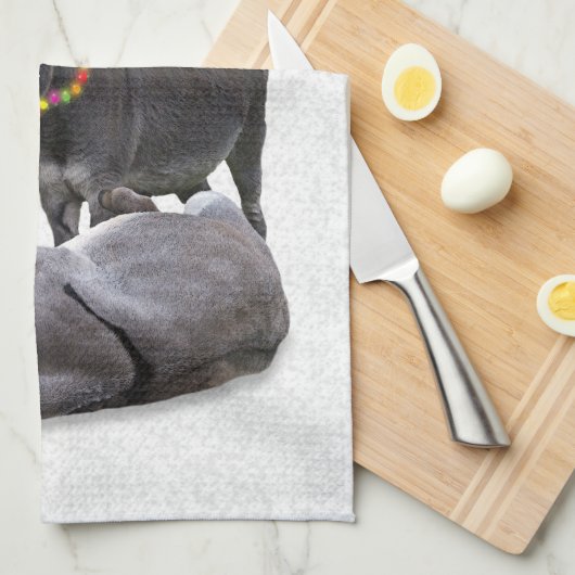Donkey Daze Küchentuch (Viertel Falte)