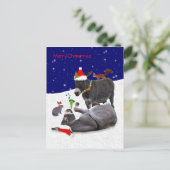 Donkey Daze Postcard Postkarte (Stehend Vorderseite)