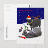 Donkey Daze Postcard Postkarte (Vorne/Hinten)