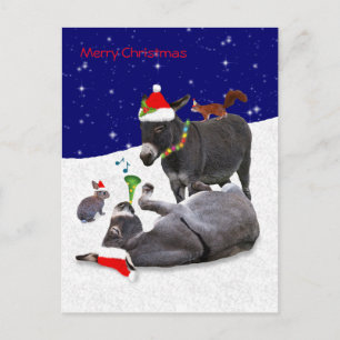 Donkey Daze Postcard Postkarte