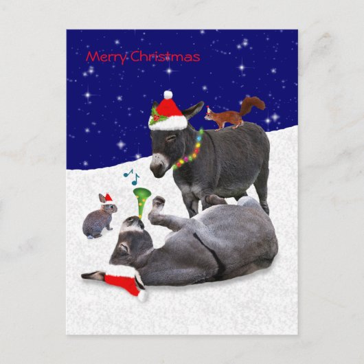 Donkey Daze Postcard Postkarte (Vorderseite)