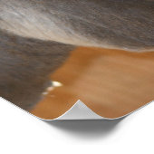 Donkey denkt an Landtiere Poster (Ecke)