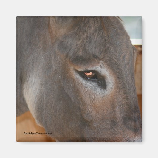 Donkey denkt über Farm Animal Nature Magnet (Vorne)