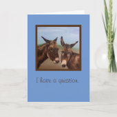 Donkey Double Karte (Vorderseite)