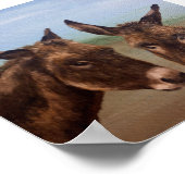 Donkey Double Poster (Ecke)