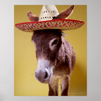 Donkey (Equus hemonius), mit Strohhut Poster