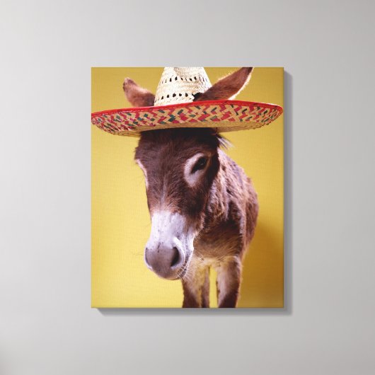 Donkey (Equus hemonius) wearing straw Leinwanddruck (Vorderseite)