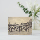 Donkey-Fahrten, Scheveningen 1906 Postkarte (Stehend Vorderseite)