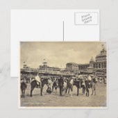Donkey-Fahrten, Scheveningen 1906 Postkarte (Vorne/Hinten)