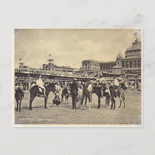 Donkey-Fahrten, Scheveningen 1906 Postkarte (Vorderseite)