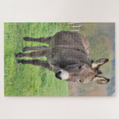 Donkey Farm Animal In Green Pasture Nature Puzzle (Horizontal)