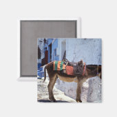 Donkey, Fira Santorini, Griechenland Magnet (Vorderseite/Rückseite)