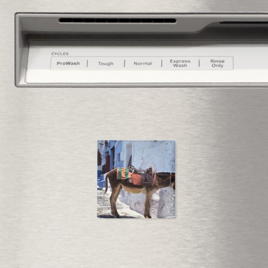 Donkey, Fira Santorini, Griechenland Magnet (In Situ (Geschirrspüler))