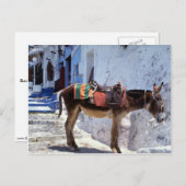 Donkey, Fira Santorini, Griechenland Postkarte (Vorne/Hinten)