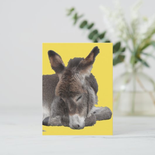 Donkey Foal Postkarte (Stehend Vorderseite)