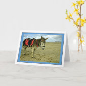 Donkey Foto Grußkarte Karte (Gelbe Blume)