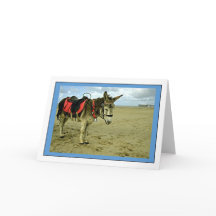 Donkey Foto Grußkarte