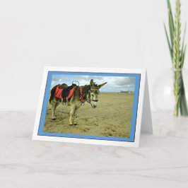 Donkey Foto Grußkarte Karte
