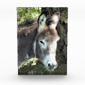 DONKEY FOTOBLOCK (Vorderseite)