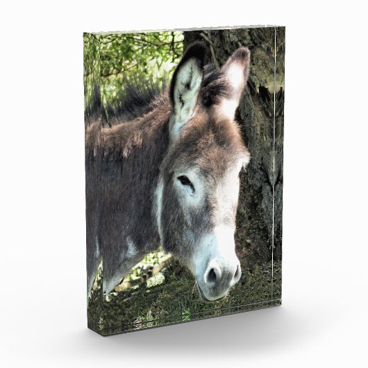 DONKEY FOTOBLOCK (Links)