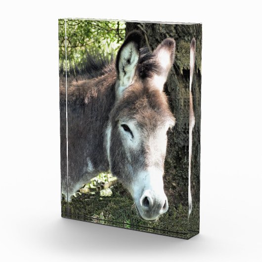 DONKEY FOTOBLOCK (Rechts)