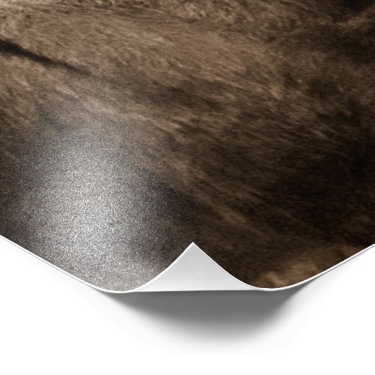 Donkey Fotodruck (Ecke)